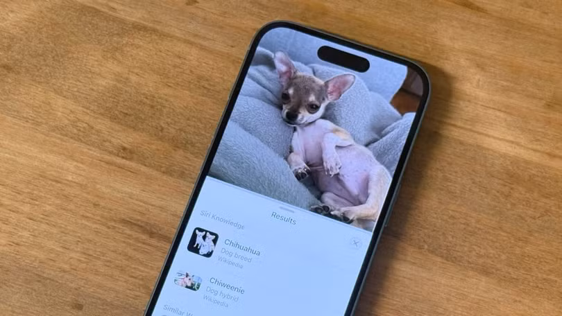 iphone 16.jpg