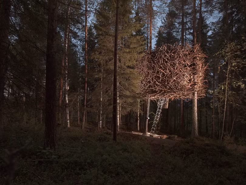 35 ngôi nhà trên cây tuyệt đẹp khiến bạn muốn sống thử một lần ảnh 13