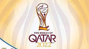 15 triệu USD là số tiền Việt Nam phải chi để có bản quyền truyền hình với World Cup 2022