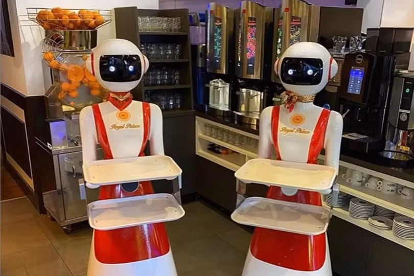 Robot phục vụ tại nhà hàng ở Hà Lan (ảnh: The Verge)
