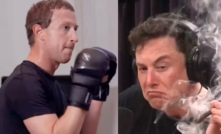 Tỉ phú Elon Musk có vẻ rất nghiêm túc trong việc đấu võ với CEO Meta Mark Zuckerberg