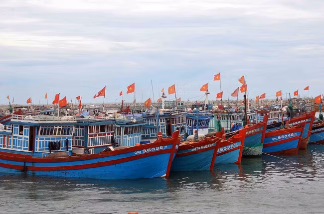 Ảnh minh họa