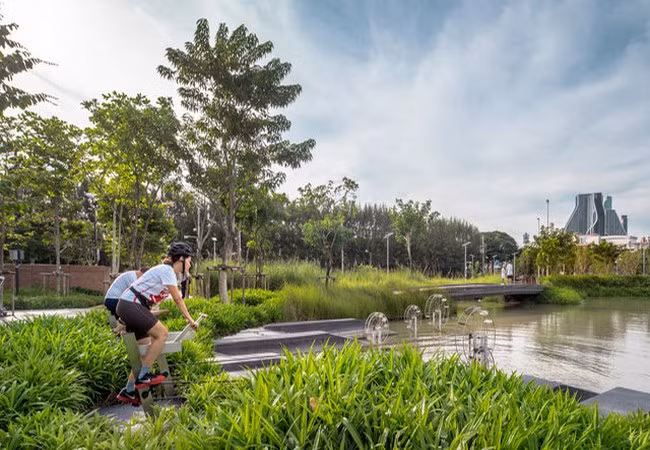 Các hồ chứa nước tại công viên CU Park, Băng Cốc (Ảnh Landprocess)