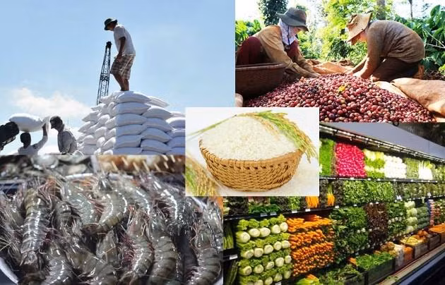 Nông sản Việt Nam sẽ thăng hoa thế giới nhờ tham gia thương mại điện tử Nông sản Việt Nam sẽ thăng hoa thế giới nhờ tham gia thương mại điện tử