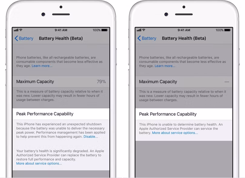 Cách kiểm tra pin chai và vô hiệu hóa tính năng giảm hiệu suất của iPhone ảnh 4