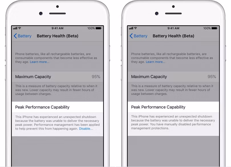 Cách kiểm tra pin chai và vô hiệu hóa tính năng giảm hiệu suất của iPhone ảnh 3