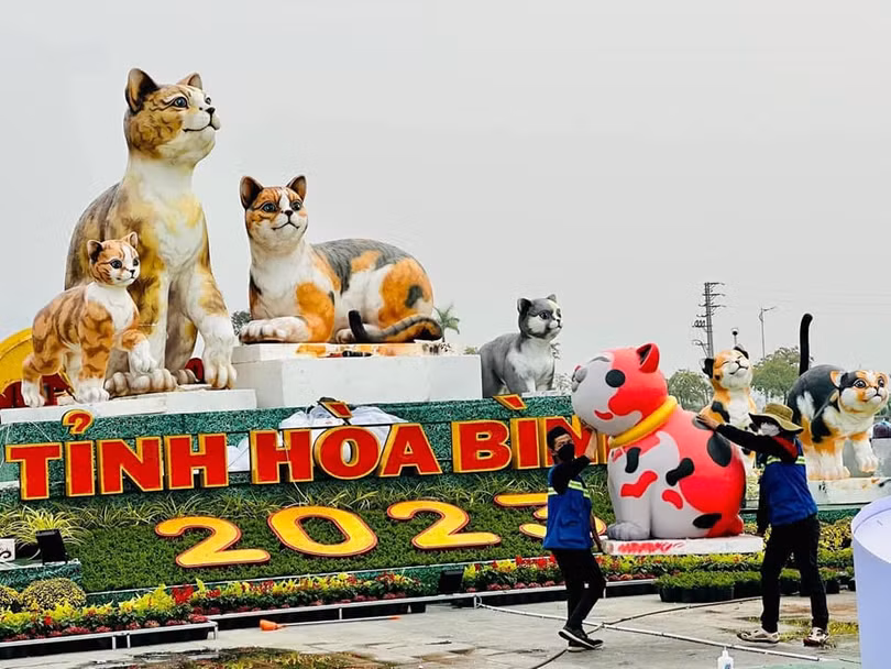 Hòa Bình