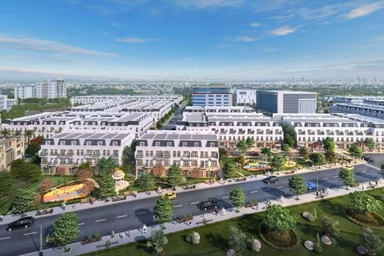 TNR holdings Việt Nam công bố báo cáo tài chính 2025