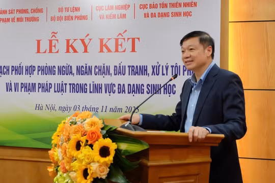 Ông Trần Quang Bảo làm Ủy viên Ủy ban Kiểm tra Trung ương
