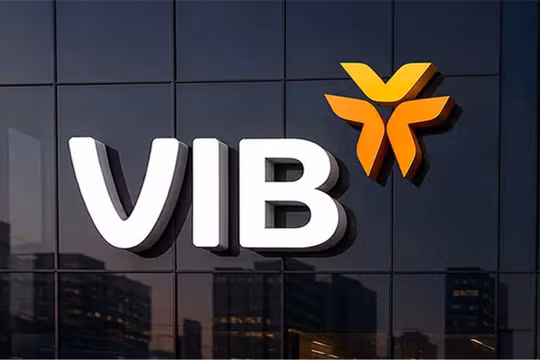 3 khoảng trống phía sau bức tranh lợi nhuận của VIB