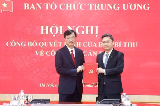 Trưởng ban Tổ chức Trung ương Nguyễn Duy Ngọc trao Quyết định của Ban Bí thư cho ông Hà Minh Hải. Ảnh: TTXVN.