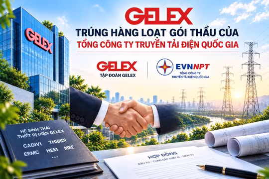 Gelex trúng hàng loạt gói thầu của Tổng Công ty truyền tải điện quốc gia