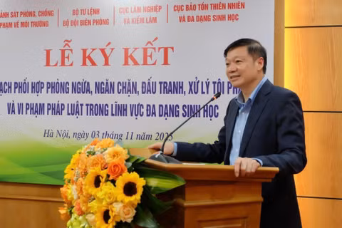 Ông Trần Quang Bảo làm Ủy viên Ủy ban Kiểm tra Trung ương