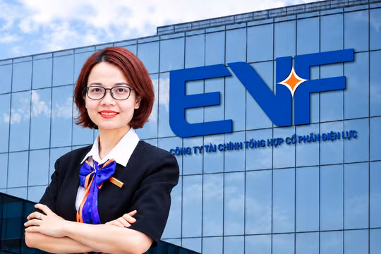 Kế toán trưởng của công ty chuyên thu xếp vốn cho các dự án điện từ nhiệm sau 4 tháng giữ chức