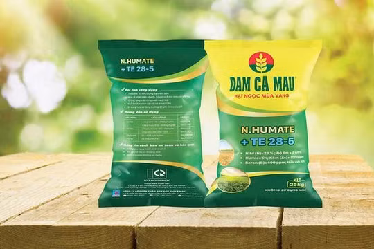 Doanh nghiệp phân bón chi hơn 1.000 tỷ đồng trả cổ tức, PVN nhận phần lớn