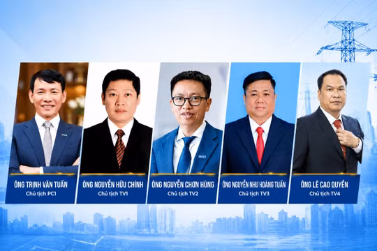 Bao nhiêu chủ tịch, tổng giám đốc ngành điện bị khởi tố trong 1 tháng qua?