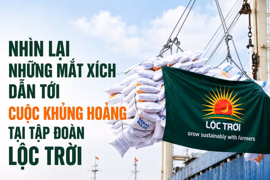 Những nguyên nhân dẫn tới cuộc khủng hoảng tại Tập đoàn Lộc Trời