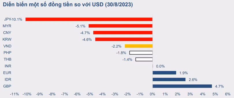 VND 2.png