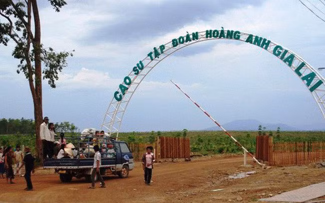 Sau HNG, Thaco hợp tác chiến lược với “vua cá tra” HVG ảnh 2 HAGL Agrico “bán đứt” Cao su Trung Nguyên cho Thadi