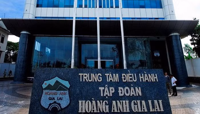 Nắm đa số “ghế” trong HĐQT, Tập đoàn HAGL khẳng định vẫn là công ty mẹ của HNG ảnh 4 HAG “trả nợ trước hạn” cho dự án chăn nuôi bò tại Gia Lai?