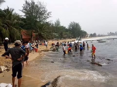 Người dân kéo ra bãi biển thu lượm hải sâm - Ảnh: Thảo Ly Người dân kéo ra bãi biển thu lượm hải sâm - Ảnh: Thảo Ly