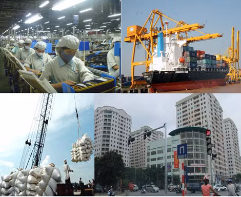 Đại gia Việt vẫn thu hoạch ngàn tỷ khi kinh tế "cảm cúm" ảnh 1