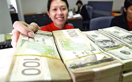Chính phủ vay dự trữ ngoại hối để chi tiêu: Cảnh báo nguy cơ ảnh 1