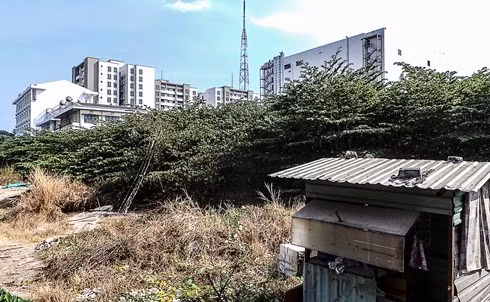 TP.HCM: Bao nhiêu khu “đất vàng” bị bỏ hoang? ảnh 3