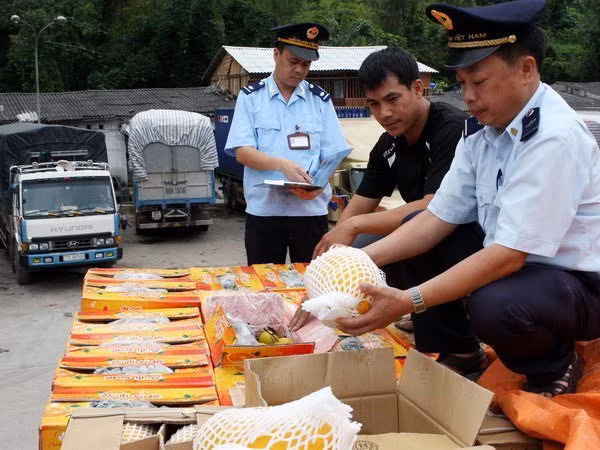 20 tỷ USD từ TQ vào Việt Nam: Đi đâu không biết? ảnh 1 20 tỷ USD từ TQ vào Việt Nam: Đi đâu không biết? ảnh 1