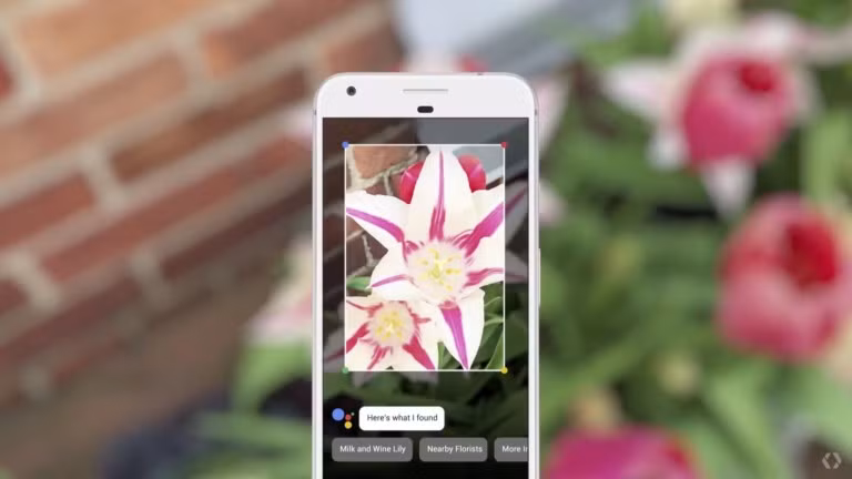 Google Lens cho chúng ta một cái nhìn rõ ràng hơn về tương lai của AR và AI ảnh 2 Google Lens cho chúng ta một cái nhìn rõ ràng hơn về tương lai của AR và AI ảnh 2