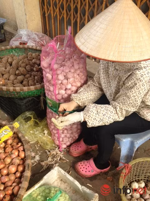 Do hành, tỏi Trung Quốc củ to, dễ bóc vỏ nên được các nhà hàng mua với số lượng lớn.