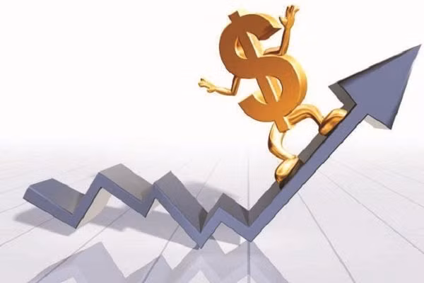 NHNN thúc các ngân hàng tiếp tục giảm lãi suất cho vay nửa cuối năm 2020 ảnh 2 Chính sách tiền tệ: đong đếm giữa tỷ giá và lãi suất