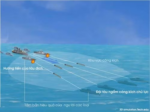 'Mãnh hổ' Kilo Việt Nam ra uy thế nào? - ảnh 7