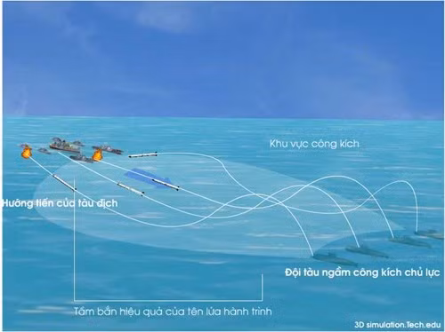 'Mãnh hổ' Kilo Việt Nam ra uy thế nào? - ảnh 8