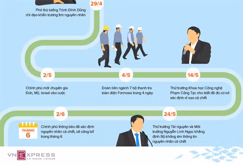 Chiều nay, Chính phủ công bố thủ phạm gây cá chết hàng loạt ảnh 2 Chiều nay, Chính phủ công bố thủ phạm gây cá chết hàng loạt ảnh 2