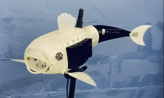 Cá robot lọc vi nhựa. Ảnh Interesting Engineering
