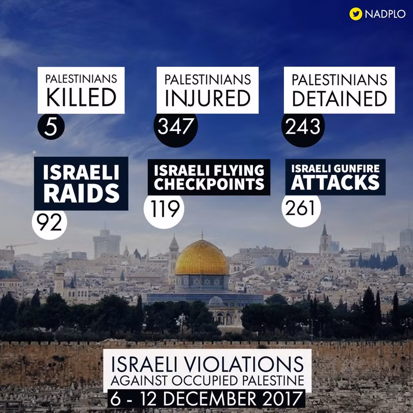 Hơn 50 người Palestine bị thương trong các cuộc biểu tình chống Israel ảnh 1