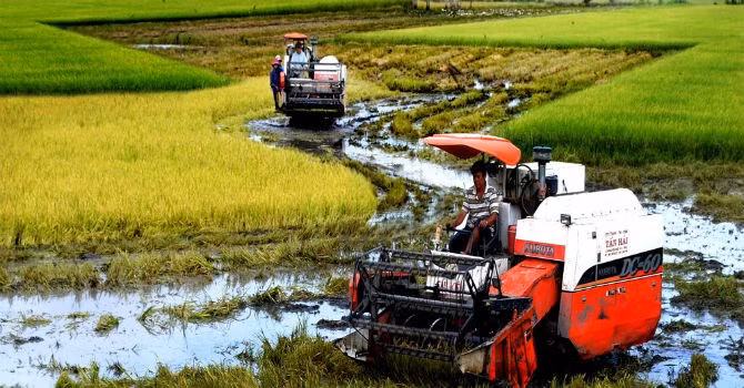Vay vốn ODA: Việt Nam học được gì từ Trung Quốc, Malaysia?