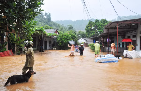 Lũ về trên suối Ngòi Đum, đoạn qua tổ 1A, thành phố Lào Cai. Hơn 40 nhà dân ở tổ 1A, phường Kim Tân bị ngập sâu trong nước lũ. Người dân đang di chuyển đồ đạc về nơi an toàn. Lực lượng chức năng có mặt kịp thời giúp người dân khắc phục hậu quả mưa lũ. Lũ trên suối Phìn Ngan Bát Xát lúc 7 giờ sáng nay. Ảnh: Ngọc Bằng Người dân xã Quang Kim khắc phục hậu quả do lũ lụt gây ra. Ảnh: Ngọc Bằng Hiện, lũ trên sông Hồng, đoạn qua TP. Lào Cai đang lên cao. Lũ về trên suối Ngòi Đum, đoạn qua tổ 1A, thành phố Lào Cai. Hơn 40 nhà dân ở tổ 1A, phường Kim Tân bị ngập sâu trong nước lũ. Người dân đang di chuyển đồ đạc về nơi an toàn. Lực lượng chức năng có mặt kịp thời giúp người dân khắc phục hậu quả mưa lũ. Lũ trên suối Phìn Ngan Bát Xát lúc 7 giờ sáng nay. Ảnh: Ngọc Bằng Người dân xã Quang Kim khắc phục hậu quả do lũ lụt gây ra. Ảnh: Ngọc Bằng Hiện, lũ trên sông Hồng, đoạn qua TP. Lào Cai đang lên cao.