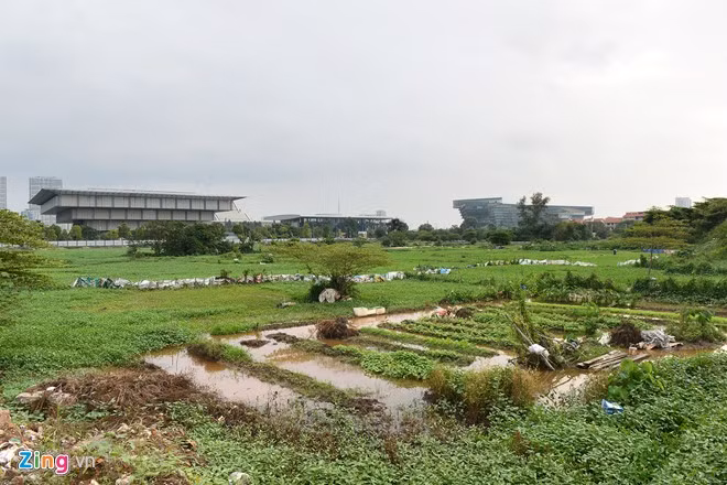 Dự án xây dựng siêu khách sạn Lotus của đại gia Đặng Thành Tâm trên khu đất vàng giữa thủ đô đã treo 4 năm, hiện được nhiều hộ dân mượn đất trồng rau, tăng gia thu nhập. Ảnh:Tiến Tuấn.