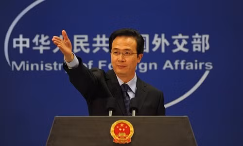 Phát ngôn viên Bộ Ngoại giao Trung Quốc Hồng Lỗi. Ảnh: Xinhua