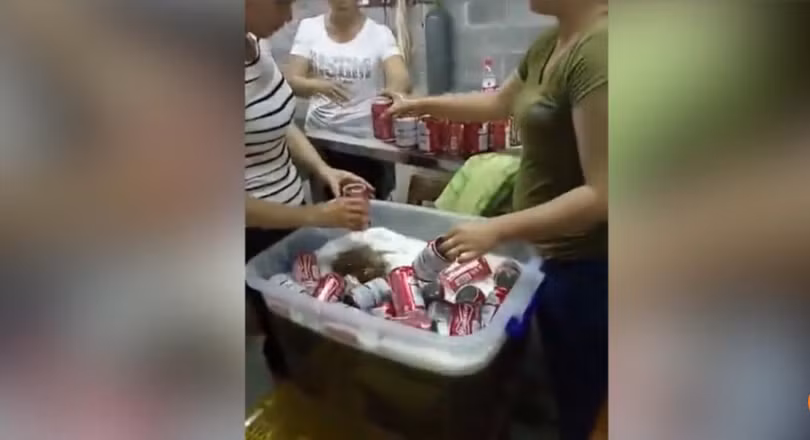 Hình ảnh "xưởng sản xuất" bia Budweiser dởm