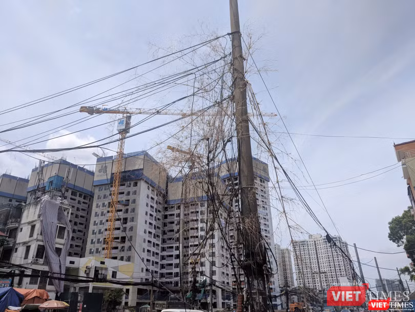 Một số đoạn như liễu rủ trước mặt đường Minh Khai..