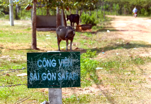 Nơi được kỳ vọng là Công viên sinh thái lớn nhất Việt Nam. Ảnh: Trung Sơn