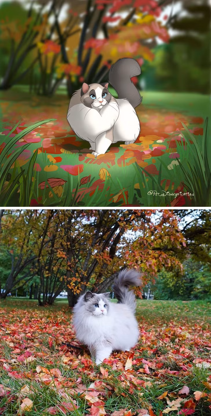 Ảnh: BrightSide Ảnh: BrightSide