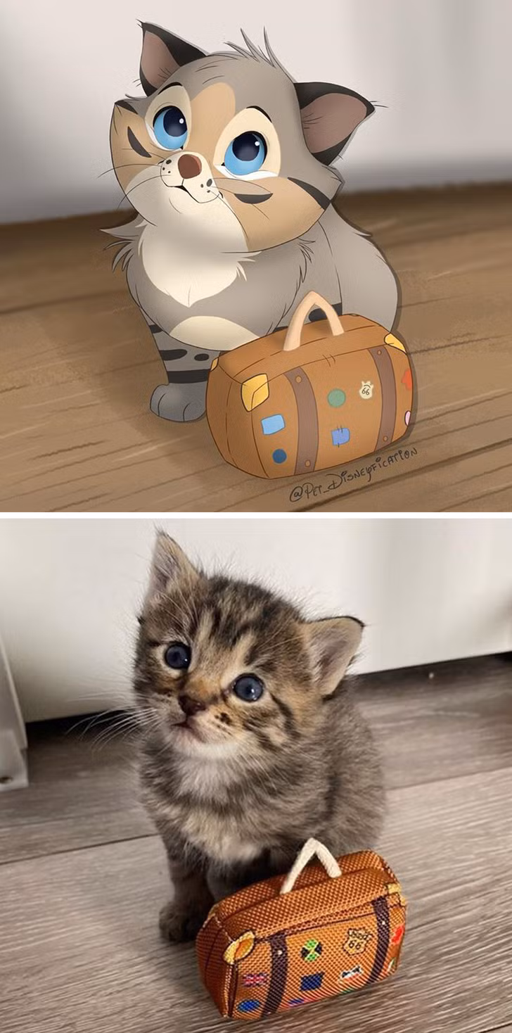 Ảnh: BrightSide Ảnh: BrightSide