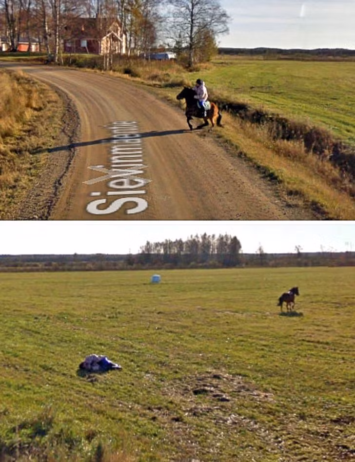 Ảnh: BrightSide Ảnh: BrightSide