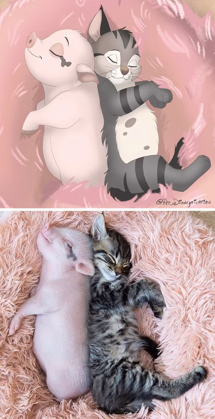 Ảnh: BrightSide Ảnh: BrightSide