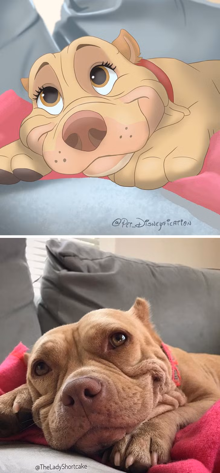 Ảnh: BrightSide Ảnh: BrightSide
