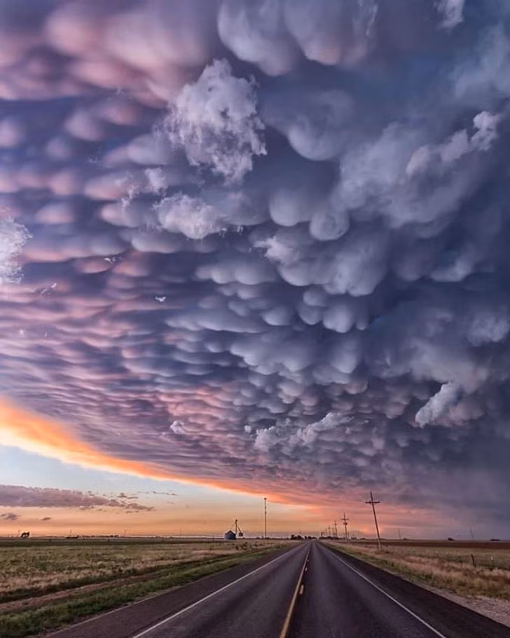 Ảnh: BrightSide Ảnh: BrightSide